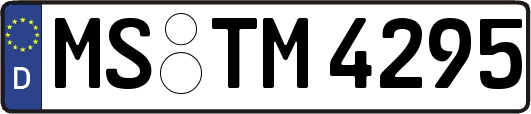 MS-TM4295