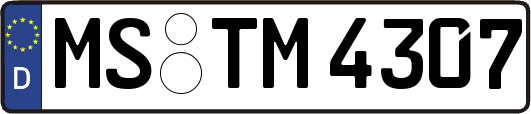 MS-TM4307