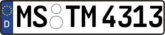MS-TM4313