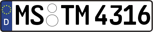 MS-TM4316