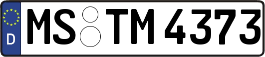 MS-TM4373