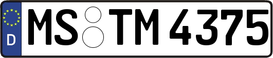 MS-TM4375