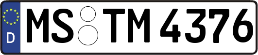 MS-TM4376