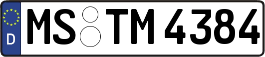 MS-TM4384