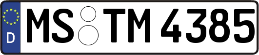 MS-TM4385
