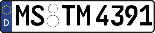 MS-TM4391