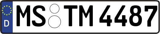 MS-TM4487