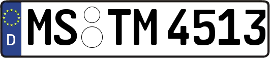 MS-TM4513