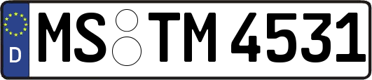 MS-TM4531