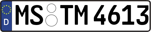 MS-TM4613