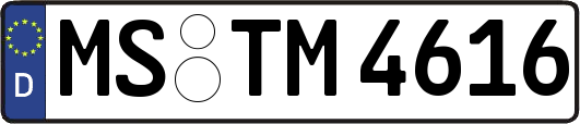 MS-TM4616
