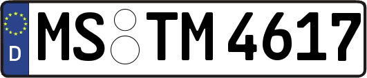MS-TM4617