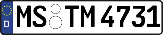MS-TM4731