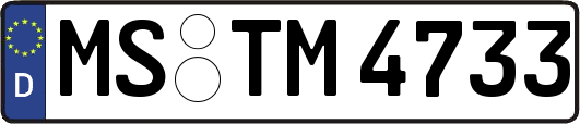 MS-TM4733