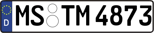 MS-TM4873