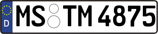 MS-TM4875