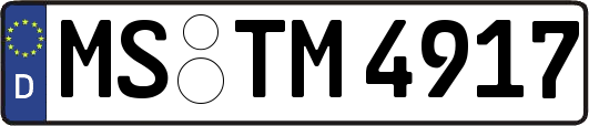 MS-TM4917