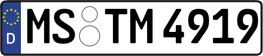 MS-TM4919