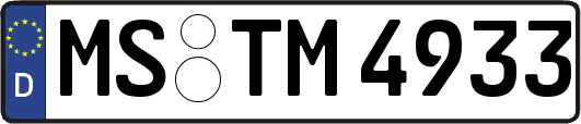 MS-TM4933