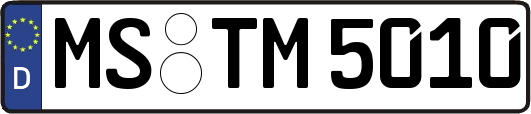 MS-TM5010
