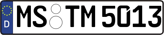 MS-TM5013