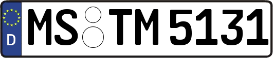MS-TM5131