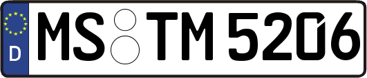 MS-TM5206