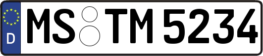MS-TM5234