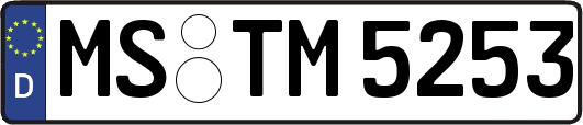 MS-TM5253