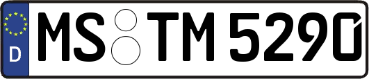 MS-TM5290