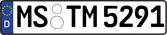 MS-TM5291