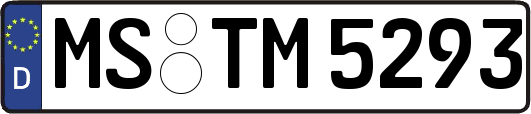 MS-TM5293