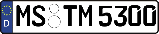 MS-TM5300