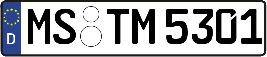 MS-TM5301