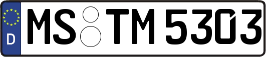 MS-TM5303