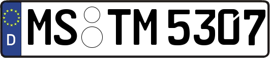 MS-TM5307