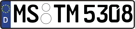 MS-TM5308