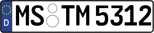MS-TM5312