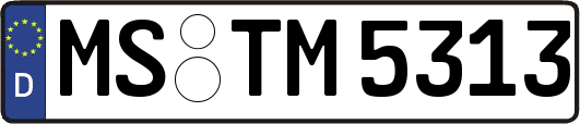 MS-TM5313