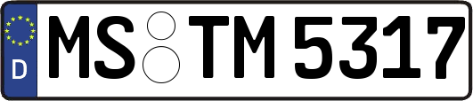 MS-TM5317