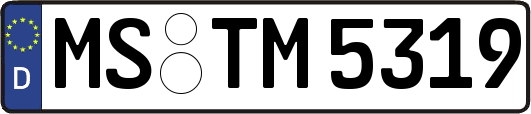 MS-TM5319