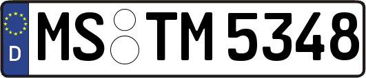 MS-TM5348