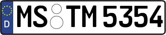 MS-TM5354