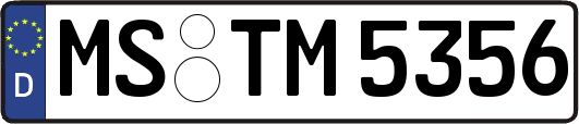 MS-TM5356