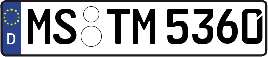 MS-TM5360