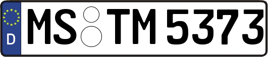 MS-TM5373