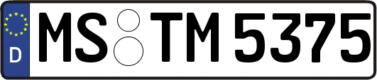 MS-TM5375