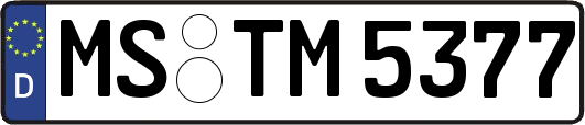 MS-TM5377