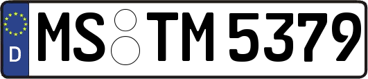 MS-TM5379