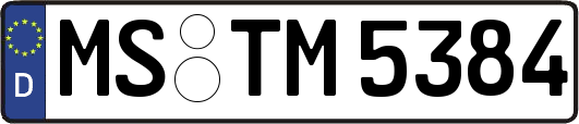MS-TM5384